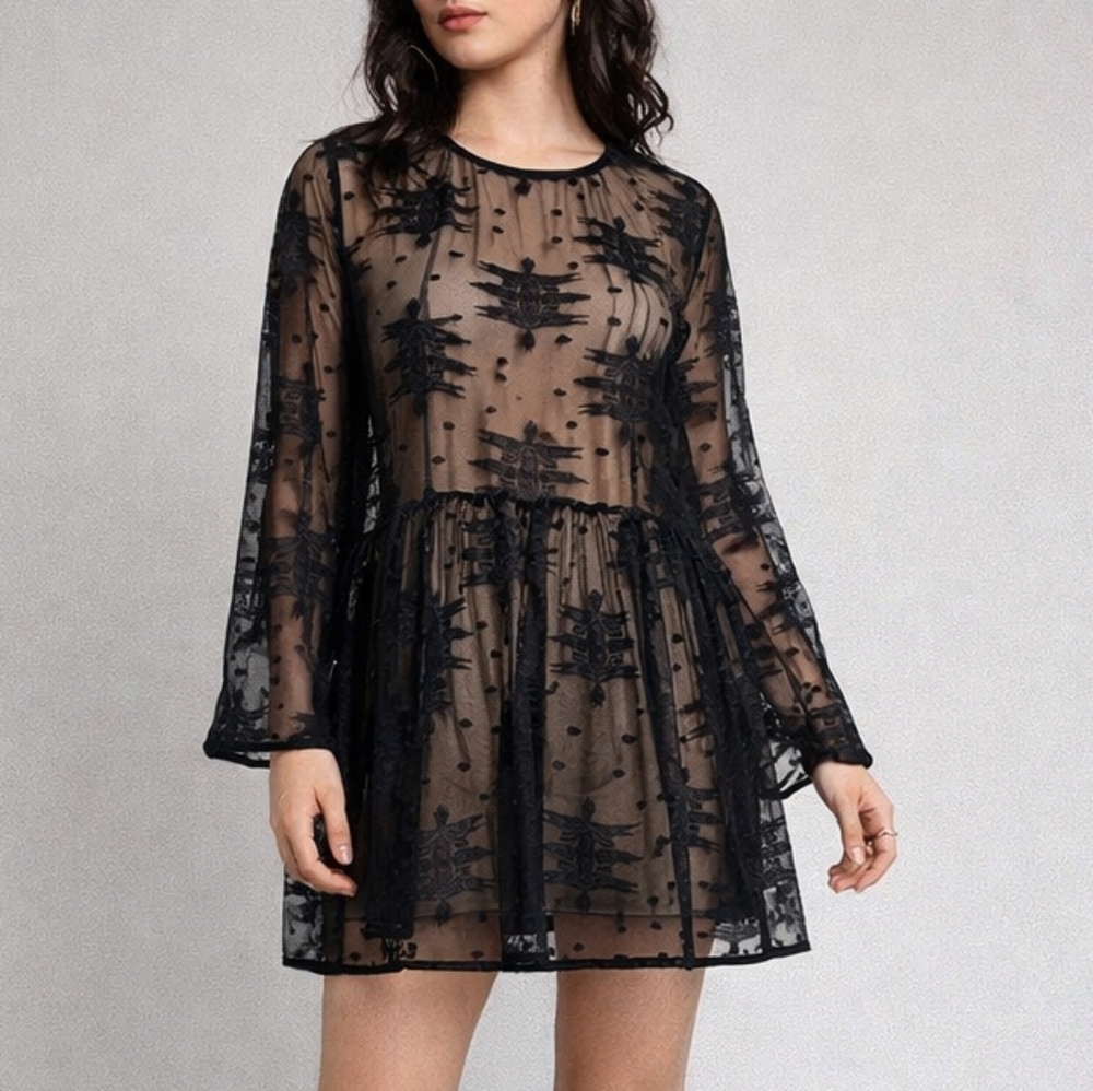 Sheer Black Embroidered Long Sleeve Dress Size‎ Small Gothcore Whimsigoth Grunge